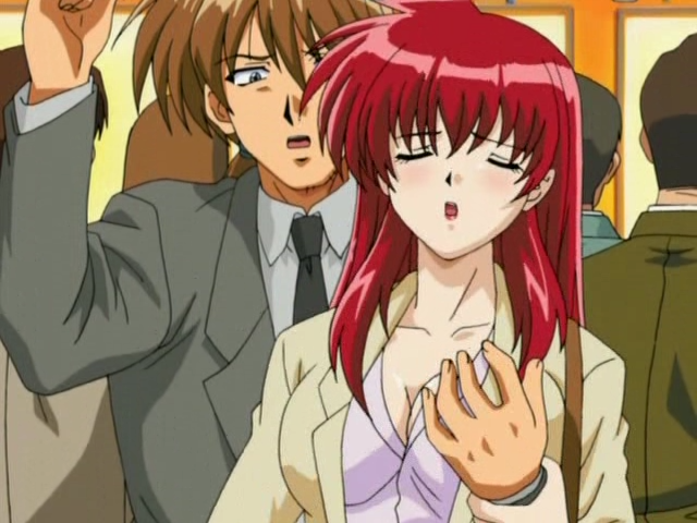 Chikan Densha (Anime Tempest)